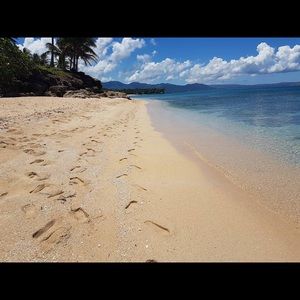 Meet your Posher, Honey lynn